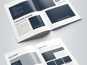 简约大气蓝色科技公司软件开发宣传册模板设计